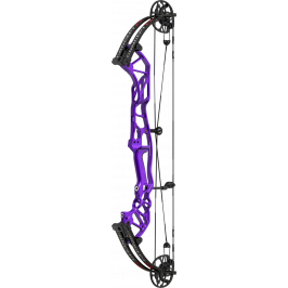 Hoyt Compound Bow Concept FX 34 Target*